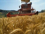 A Mombercelli un corso di formazione per gli agricoltori