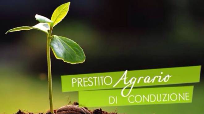 Aperti i bandi per prestiti di conduzione alle imprese agricole 