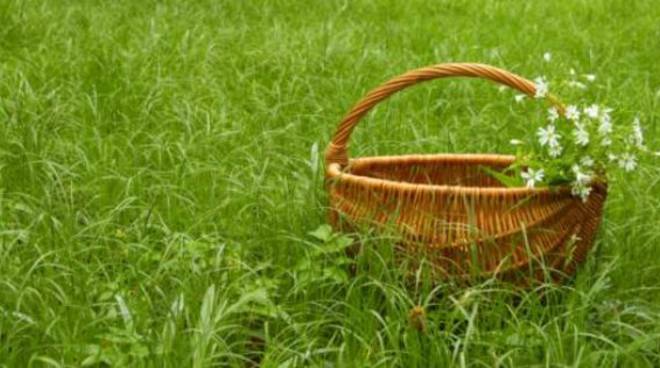 Frazione Zolfo di Montafia: il 17, 18 e 19 aprile la biodiversità va in paradiso con la “Festa della fonte solforosa e delle erbe officinali”