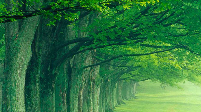 Frazione Zolfo di Montafia, oggi gran chiusura con la passeggiata e il pranzo di Primavera