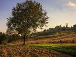 Grazzano Badoglio, sabato 25 “Camminare il Monferrato” sarà un vero piacere