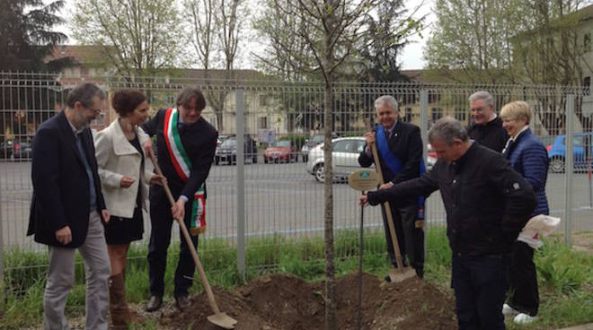 Piantato un tiglio alla memoria del Prf. Remo Fornaca per la Festa di Primavera dell’UTEA