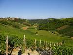 Un pic nic nei casotti di Vinchio e Vaglio per la Sagra dell’Asparago saraceno