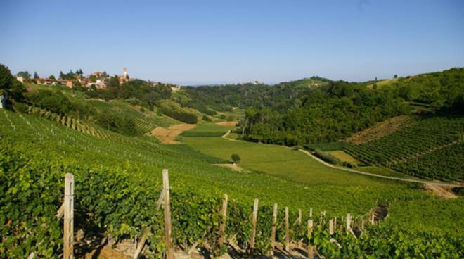 Un pic nic nei casotti di Vinchio e Vaglio per la Sagra dell’Asparago saraceno