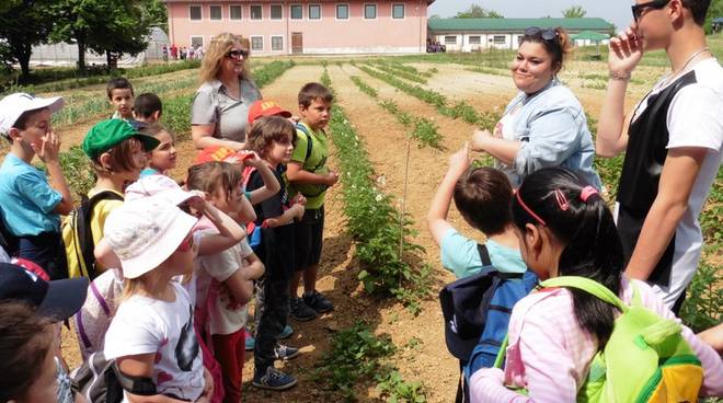 Agricola, un’aula a cielo aperto all’Istituto per l’Agricoltura di Viatosto