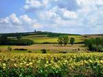 Castelnuovo Belbo, domenica 31 maggio la decima edizione della Camminata Naturalistica Enogastronomica