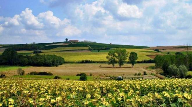 Castelnuovo Belbo, domenica 31 maggio la decima edizione della Camminata Naturalistica Enogastronomica