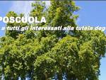 Tutela alberi monumentali : sabato 20 a Villafranca d'Asti camposcuola su applicazione Legge