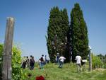 Un successo il Workshop tra i filari nel Parco Orme su La Court