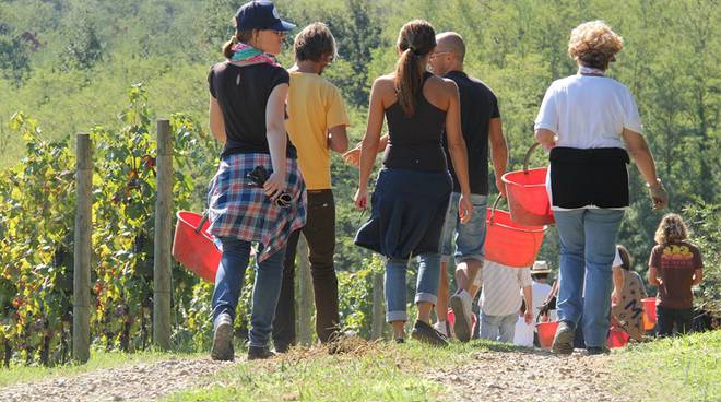 ''Per evitare lo sfruttamento del sistema del caporalato, si potrebbere rivedere l'utilizzo dei voucher''