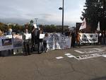 Continuano le proteste dalla LAV contro il Palio di Asti
