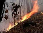 Emergenza incendi boschivi: le norme di prevenzione