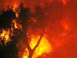 Massima allerta incendi su tutto il territorio piemontese, particolare vigilanza della Forestale