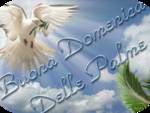 Domenica delle Palme: Misericordia è ..... Servizio