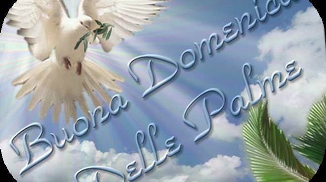 Domenica delle Palme: Misericordia è ..... Servizio