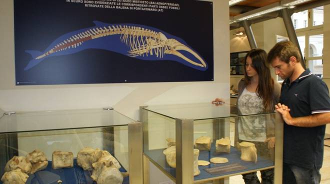Pasquetta al Museo Paleontologico con i cetacei fossili e "Una balena in collina"
