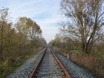  Studenti universitari al lavoro per una Greenway sull'Asti-Chivasso