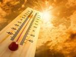 Torna il caldo, dieci consigli per difendersi dalle alte temperature