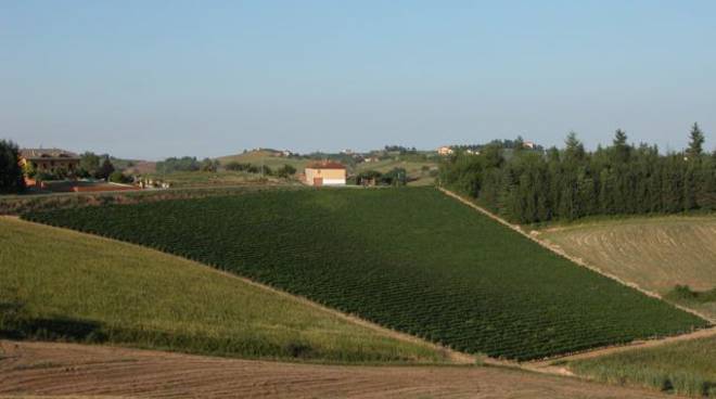 Per una domenica tutta salute, la Passeggiata per le Colline di Scurzolengo