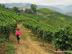 Il quinto Trail del Moscato di Santo Stefano Belbo scalda i motori