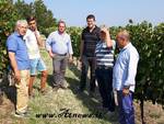 L’importanza di chiamarsi Piemonte, buone prospettive per l'imminente vendemmia della Barbera