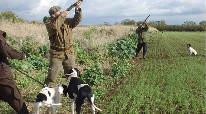 Caccia: in Piemonte record di specie cacciabili. Legambiente: “La Regione intervenga”