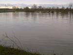 Asti, disagi in Provincia per la piena del Tanaro, a Rocchetta Tanaro esonda il fiume