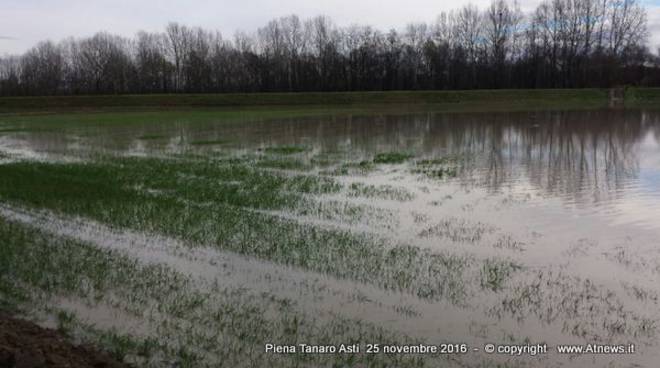 Coldiretti Piemonte: "chiediamo urgentemente un tavolo di crisi per i danni del maltempo"