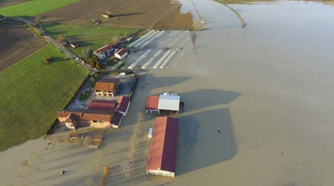 Coldiretti Asti: ci vuole lo stato di calamità per i danni dell'alluvione