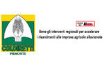 Coldiretti Piemonte: interventi regionali per accelerare i risarcimenti alle imprese agricole alluvionate