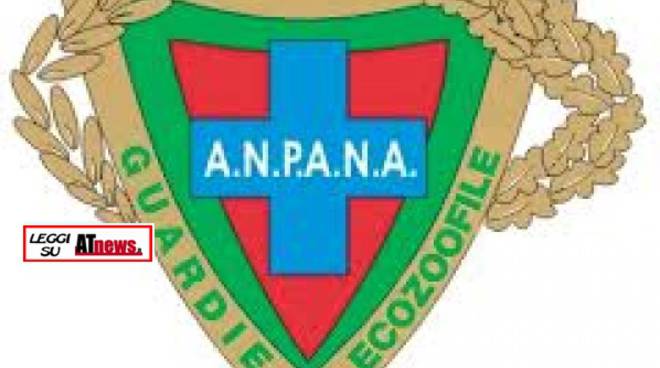 Nuove elezioni ed alcuni cambi della guardia nel nuovo direttivo Anpana .