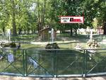 Asti, zampilla di nuovo la fontana del Parco della Resistenza  
