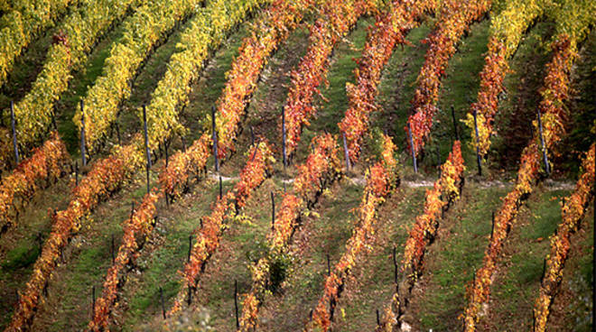 Protocollo d'intesa tra Regione, Torino e Alba e Bra per valorizzare Langhe e Roero