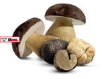 Coldiretti Piemonte: etichettatura obbligatoria per funghi e tartufi made in Piemonte