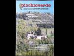 E' uscito il primo numero del 2017 della rivista "Picchioverde"