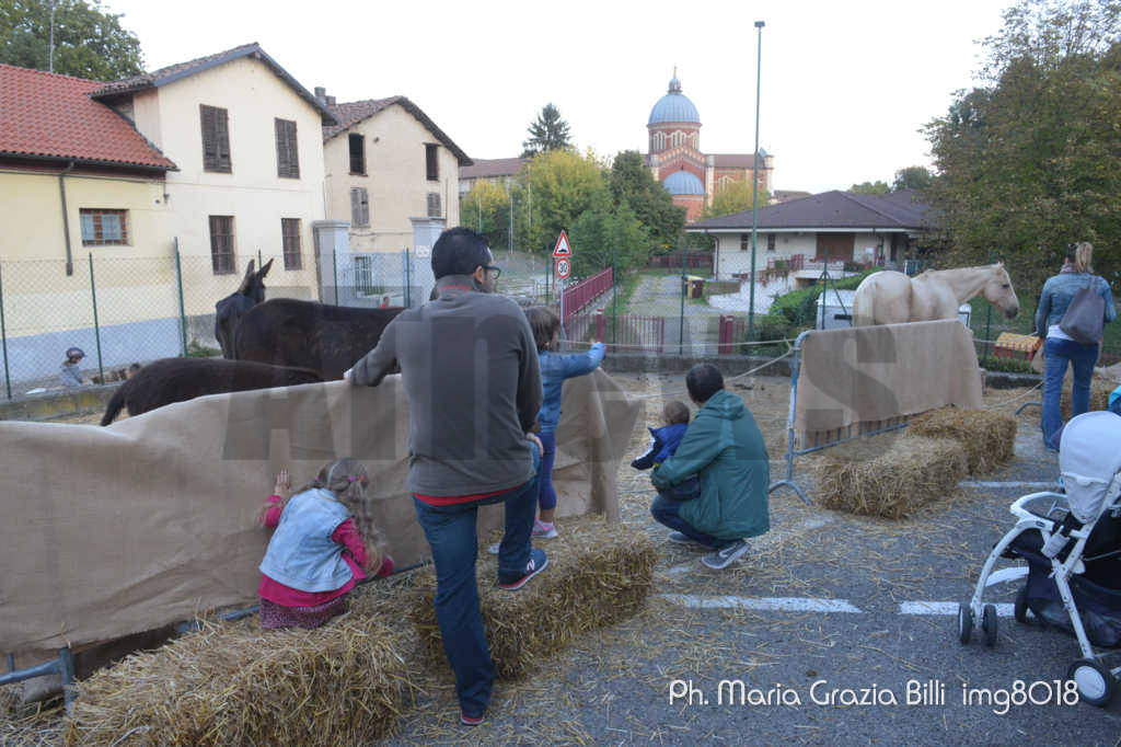 Arti e Mercanti 2017