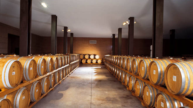 Cantina Vinchio Vaglio