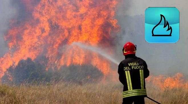 incendi boschivi