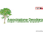 associazione deodara