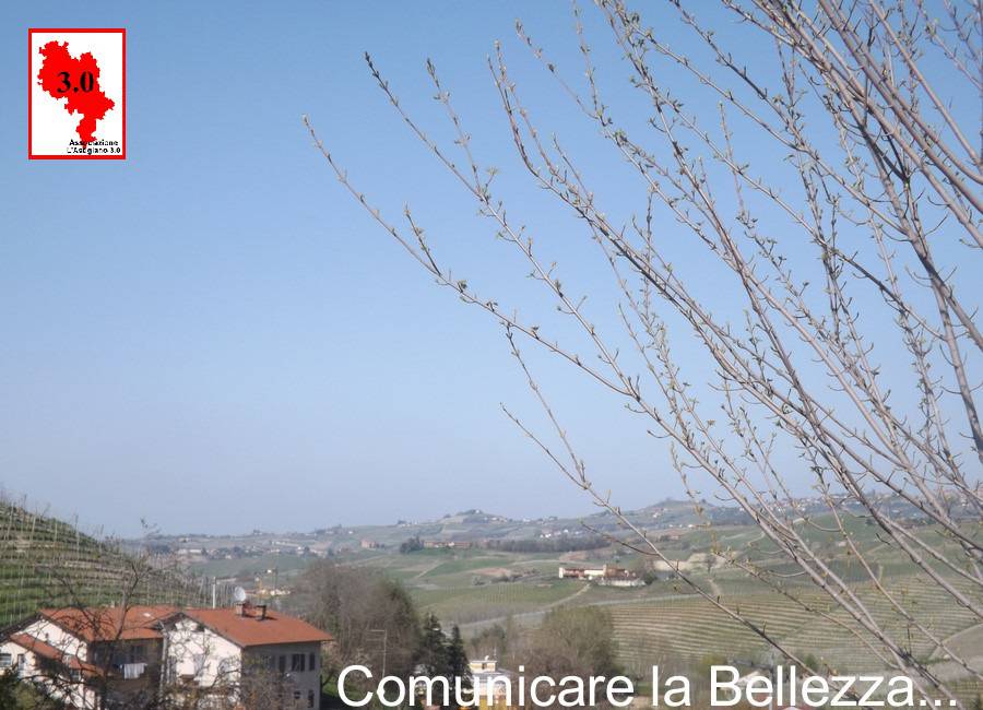 Comunicare la Bellezza: Barolo