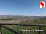 Comunicare la Bellezza: Panorami della Langa del Barolo