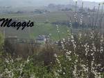 maggio rava fava