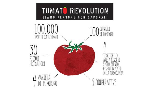 tomato revolution