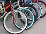 bici repertorio