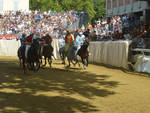 palio