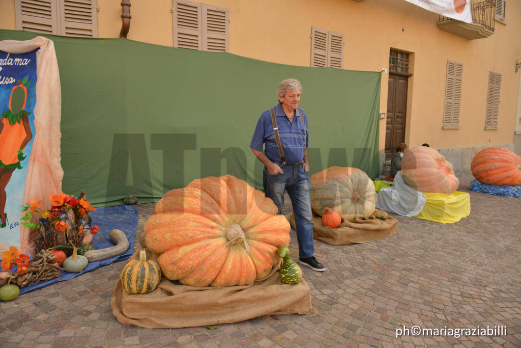 La Zucca delle Meraviglie - Piea