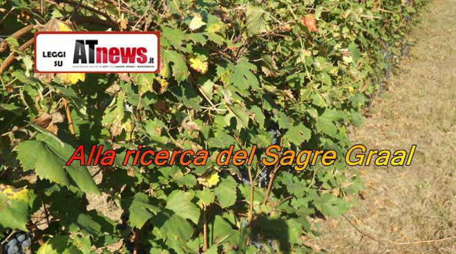 sagre graal foto claudia solaro