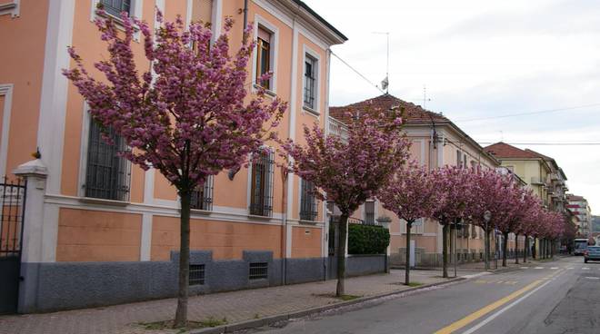 corso matteotti