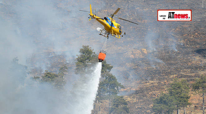 incendi boschivi