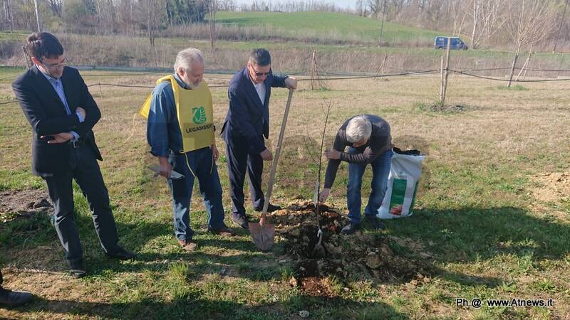 Parco della salute di Asti: piantate 25 nuove piante